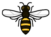 GT:NH Bee Database